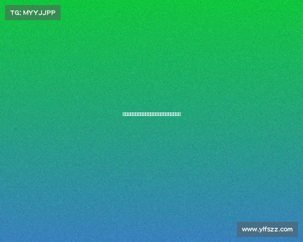 摩托车赛事全景解读速度激情与荣耀征途的精彩介绍